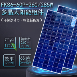 FKS6=60P=260285W多晶太阳能发电