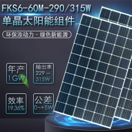 FKS6=60M=290315W单晶太阳能发电