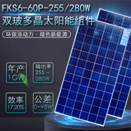 FKS6=60P=255280W双玻双晶太阳能发电