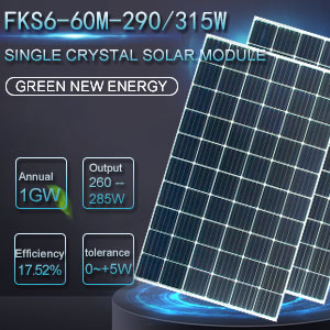 FKS6=60M=290315W single-crystal solar p